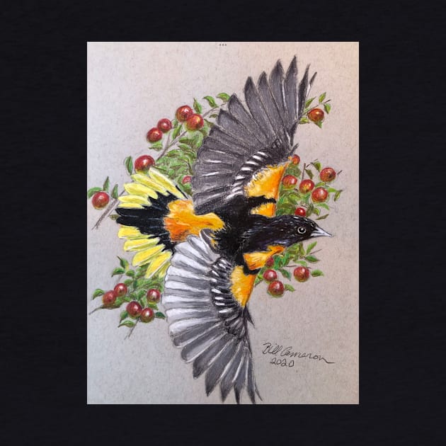 Baltimore Oriole by Bill Cameron Fine Art